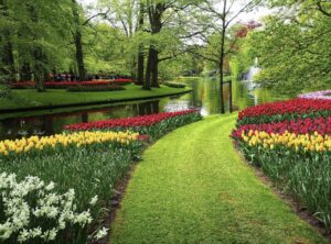 Keukenhof